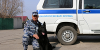 полицейский из хлевного и его служебная овчарка спасли человека - Хлевенский район